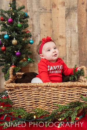 AIMED DEC 2019-28.jpg