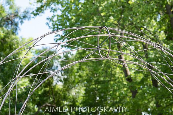 AIMED 2019-99.JPG