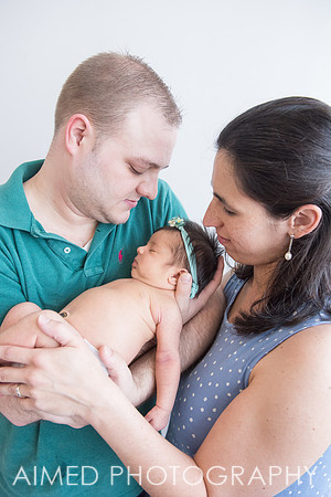 AIMED-56.JPG