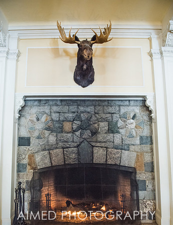 AIMED-14.JPG