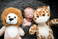Henry Gordan Payne New Born