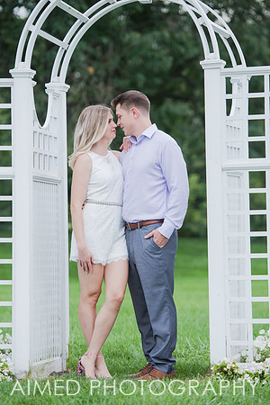 AIMED-10.JPG