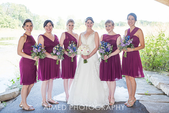 AIMED-50.JPG