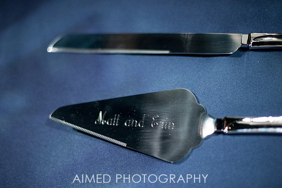 AIMED-32.JPG