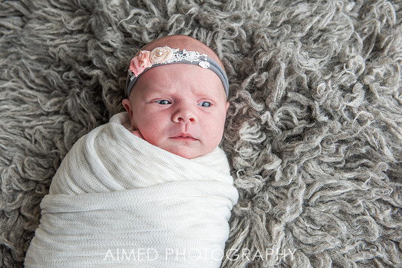 AIMED 2019-85.JPG