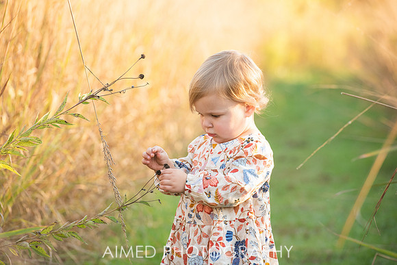 AIMED FALL 2021-93.JPG