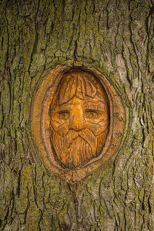 Limberlost 2021-20.JPG