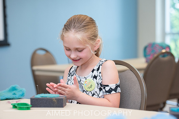 AIMED 6 2019-27.JPG