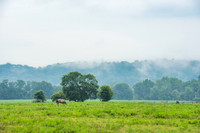 WhiteWaterCanal-5.JPG
