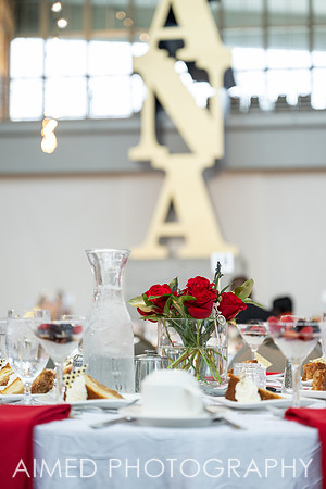 Indianapolis Event Photographer