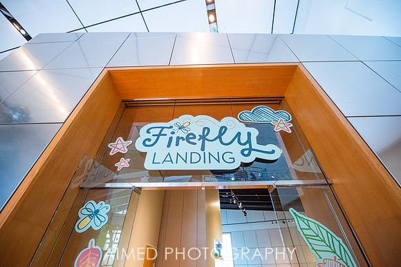 Firefly 2019-11.JPG