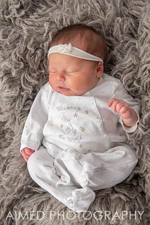 AIMED 2-76.JPG