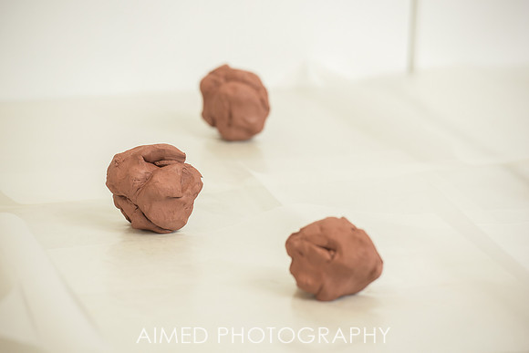 AIMED 2019-41.JPG