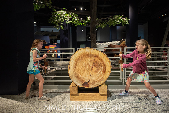 AIMED 2019 2-56.JPG
