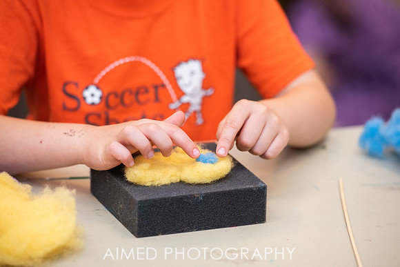 AIMED 6 2019-26.JPG