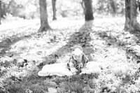 AIMED-19.JPG