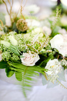 AIMED-14.JPG