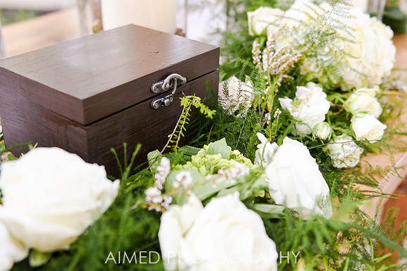 AIMED-37.JPG