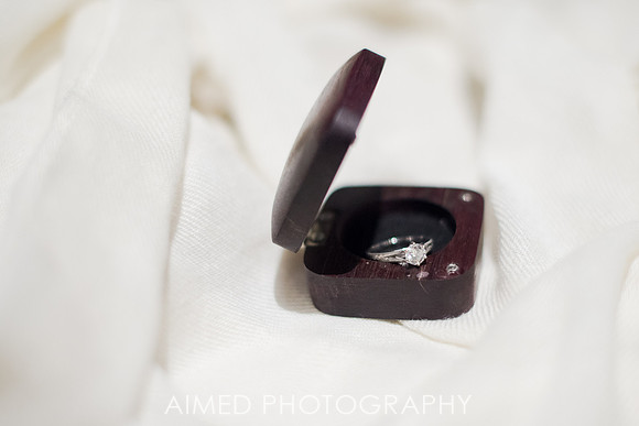 AIMED-102.JPG