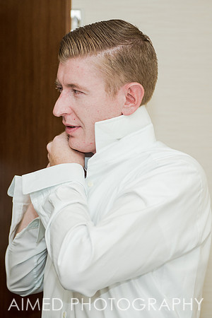 AIMED-9.JPG