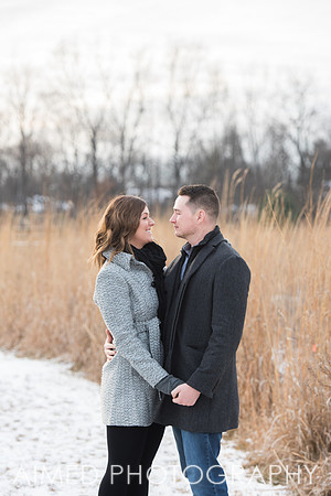 AIMED-3.JPG