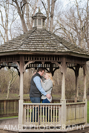 AIMED-77.JPG