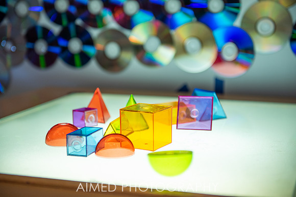 AIMED 2019 1-21.JPG