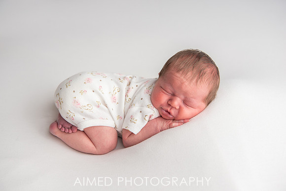 AIMED 2-101.JPG