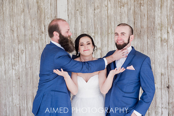 AIMED-5-13.JPG