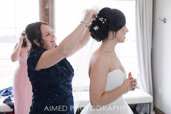 AIMED-2-96.JPG