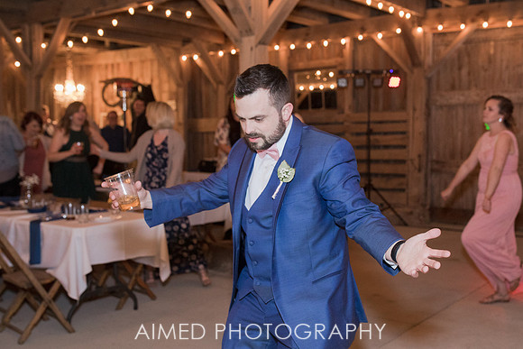 AIMED-6-130.JPG