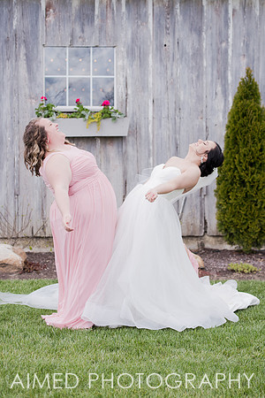AIMED-3-40.JPG