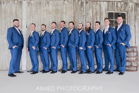 AIMED-3-63.JPG