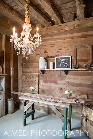 AIMED-7-60.JPG