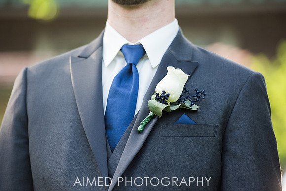 AIMED - 3-38.JPG