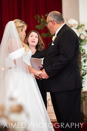 AIMED 1-114.JPG