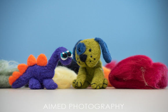 AIMED 6 2019-9.JPG