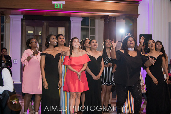 AIMED - 5-119.JPG