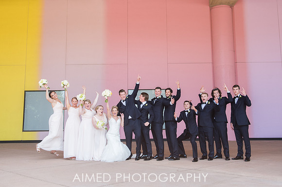 AIMED-6-201.JPG