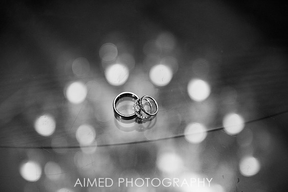 AIMED -3-51.JPG
