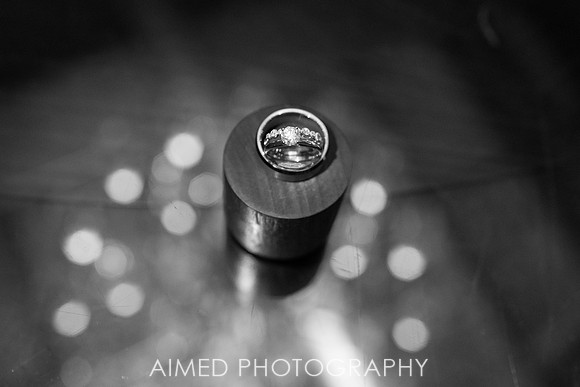 AIMED -3-54.JPG