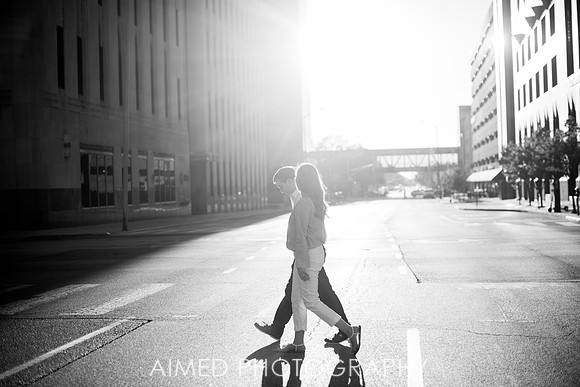 AIMED-7.JPG