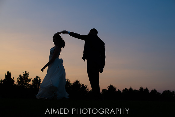 AIMED-110.JPG