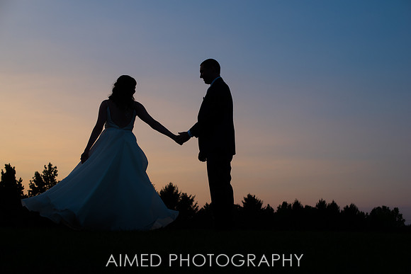AIMED-111.JPG