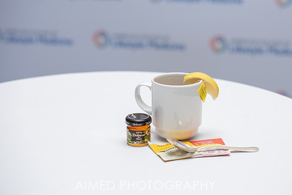 AIMED 2019  1-67.jpg