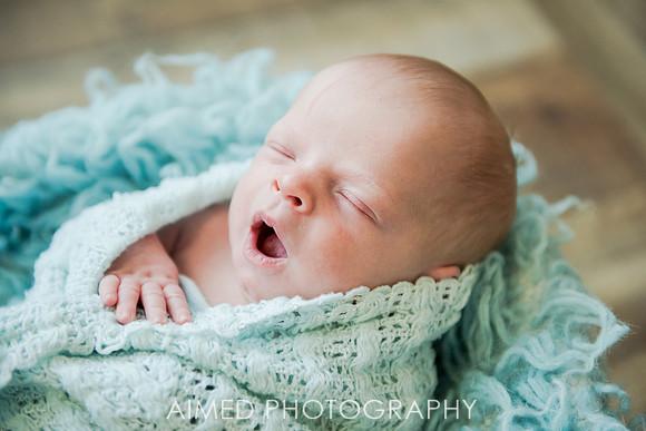 AIMED-10.JPG