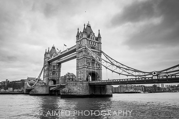 Travel Photographer