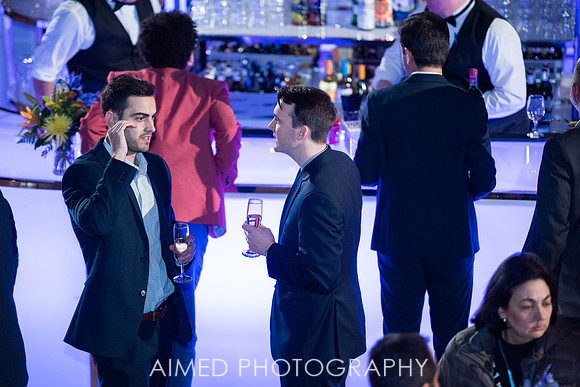 AIMED-23.JPG