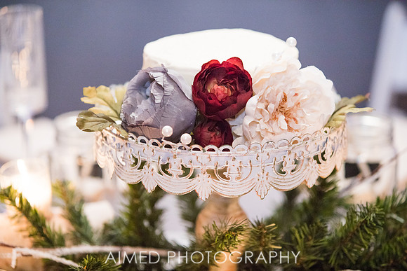 AIMED 6-1.JPG