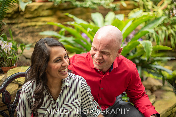 AIMED-22.JPG